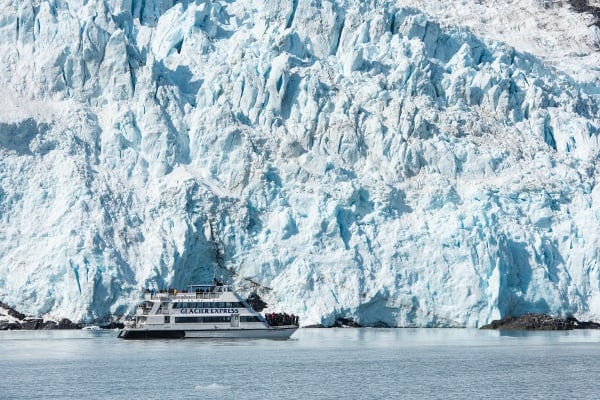 6 Hour Kenai Fjords National Park Cruise Tour Image 8
