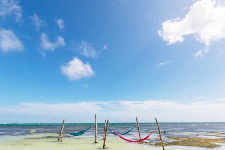 Hammocks sway over turquoise waters, perfect for relaxing.