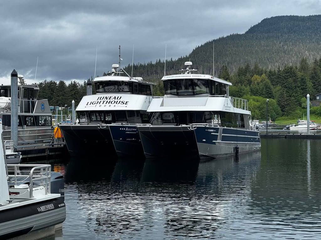 3 Hour Juneau Whale Watching Tour Image 5