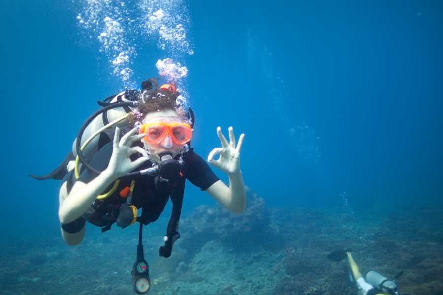 A diver is enjoying the adventure of diving in sea water