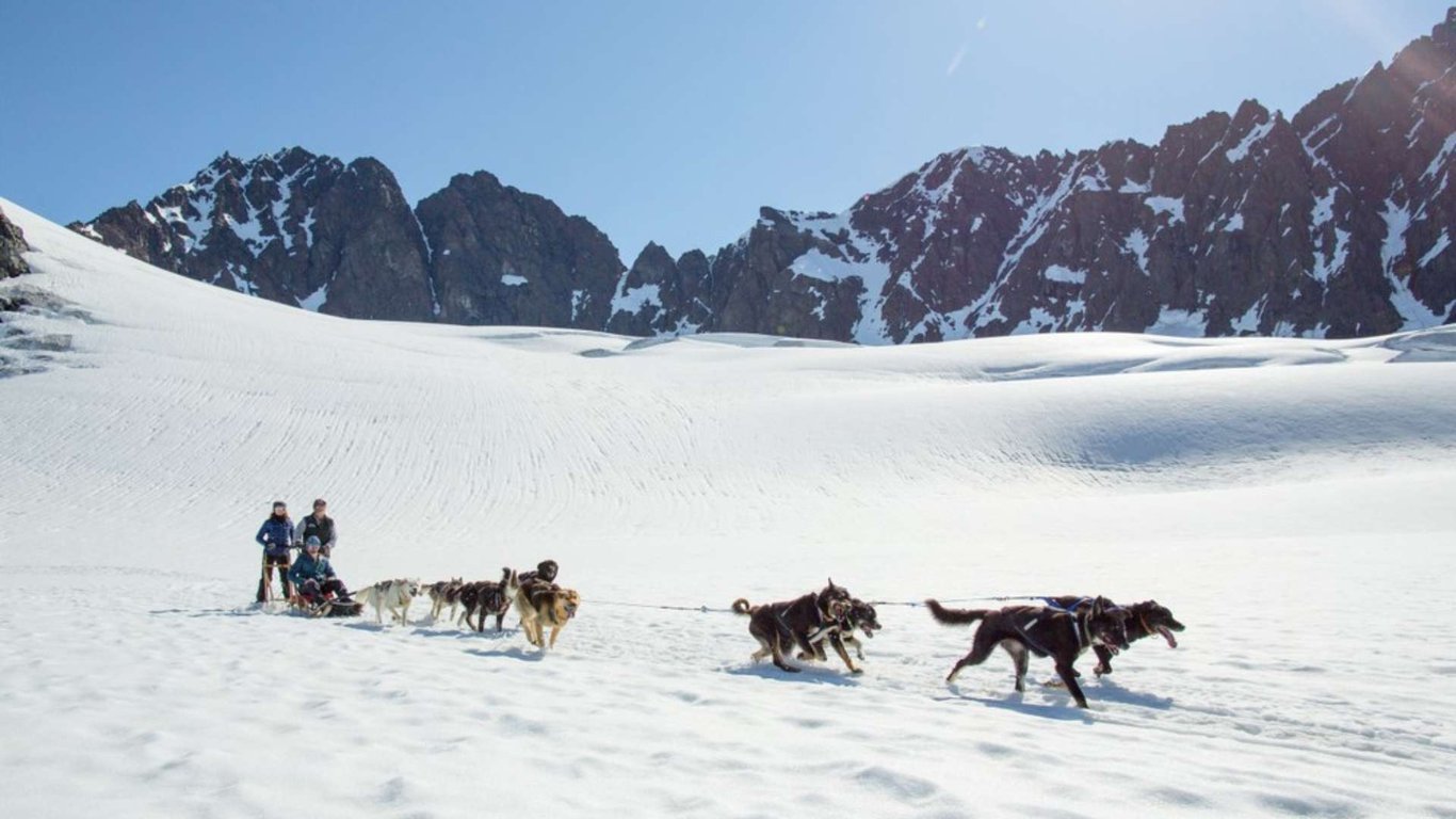 Anchorage Helicopter and Glacier Dogsled Tour Tour Image 2