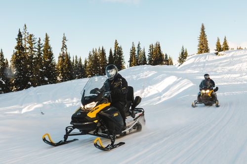 Turpin Meadow Ranch Snowmobile Rentals - Half Day Tour Image 3