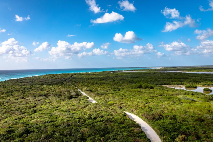 5 Uniquely Cozumel Shore Excursions