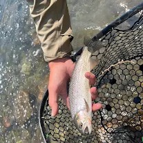Unforgettable Fishing review image 2
