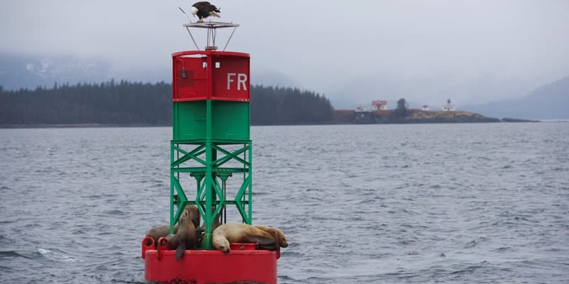 Your Guide to Inside Passage Weather in Juneau, Skagway, and Ketchikan image