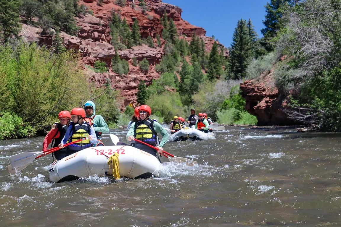 Telluride Rafting On The Lower San Miguel - Half Day Class II image