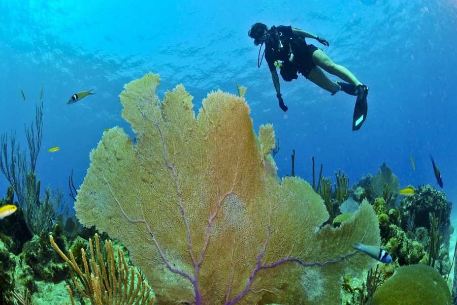 Understanding Cayman Islands Weather