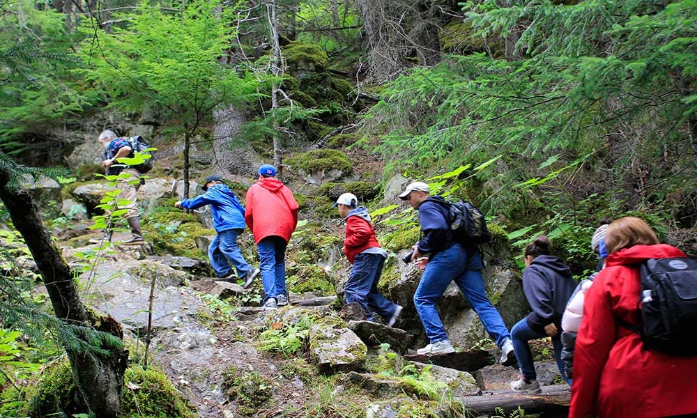 Thumbnail of video about Hiking in Skagway