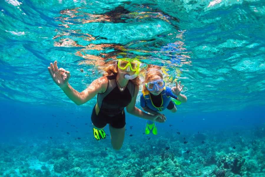 two people are diving in sea water