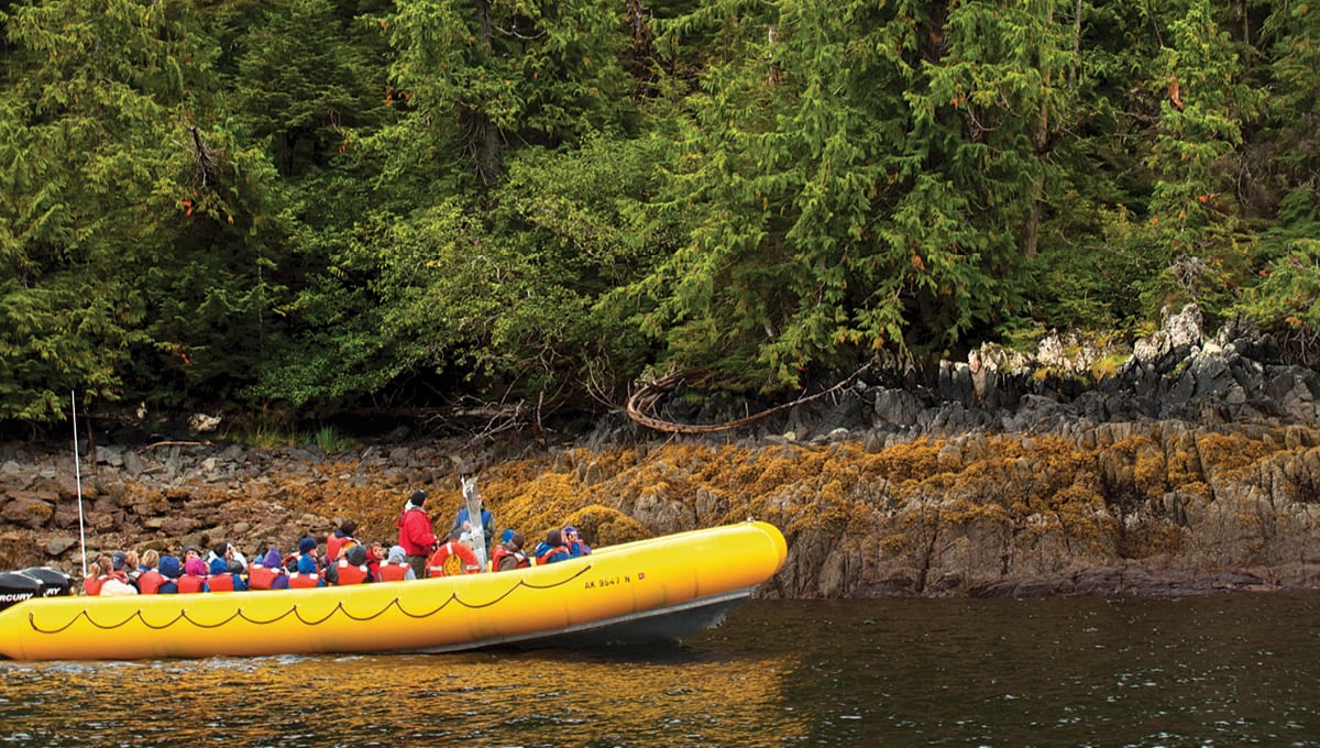 Wilderness Sea Kayaking Adventure Tour Image 4