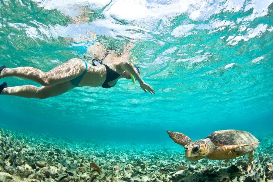 A snorkeler floats above a graceful sea turtle in shallow, sunlit waters full of marine wonders.