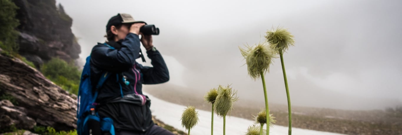 The Best Times To Visit Glacier National Park, Montana image