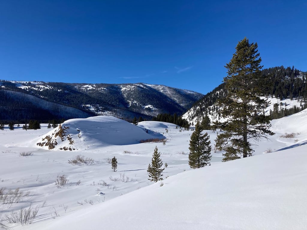 Winter Yellowstone Snowshoe Safari Tour Image 7