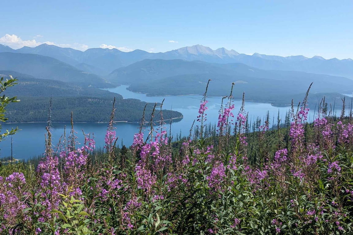 Private Montana Wilderness Hike - Half-Day Tour Image 3