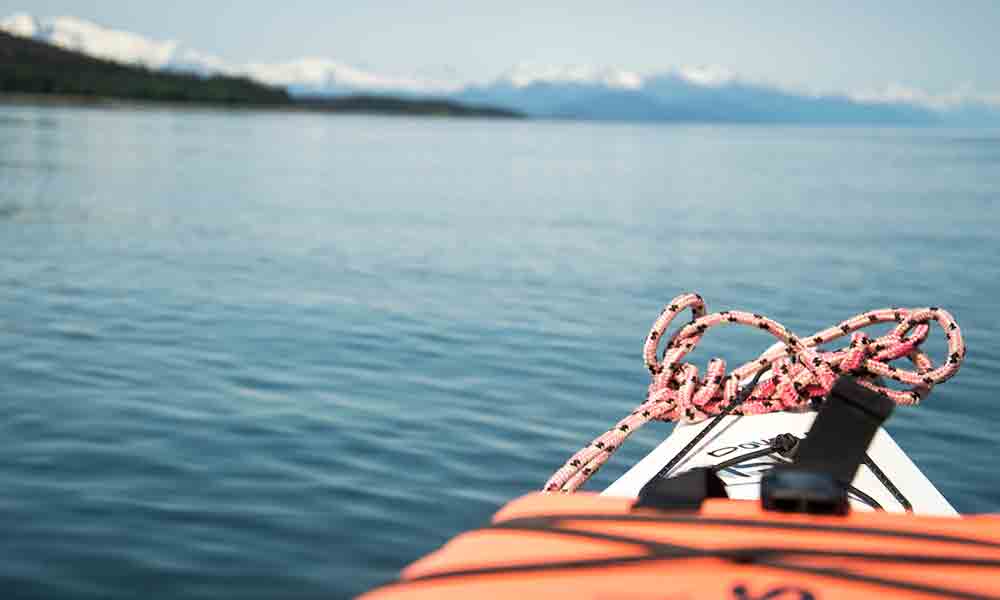 Paddle with Whales Kayak Adventure Tour Image 13