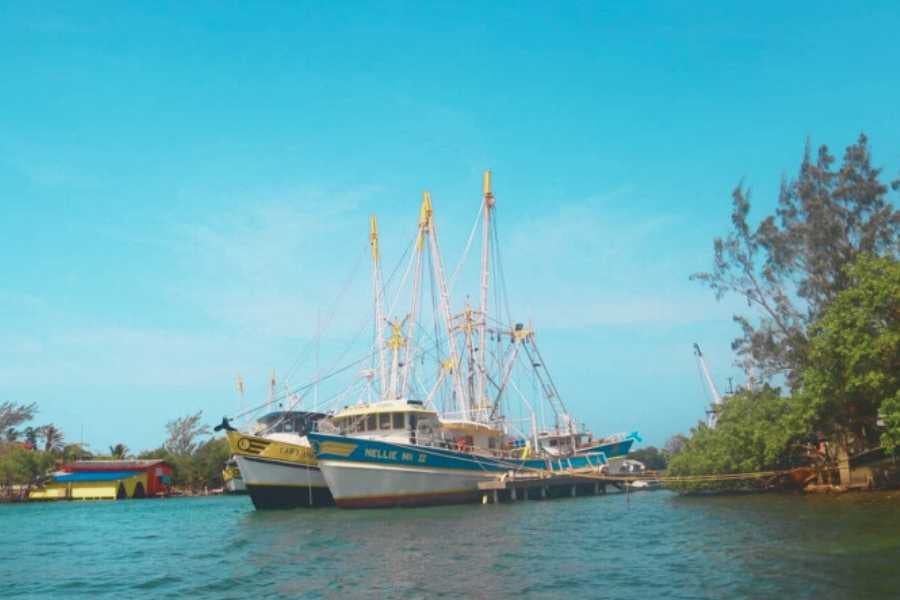 Fishing boats docked at a harbor, capturing the charm of local seafaring life.