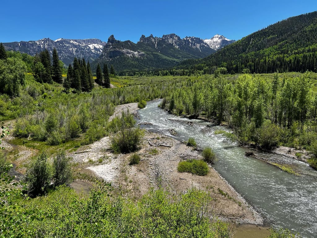 Fly Fishing Walk Wade - Full Day Tour Image 7