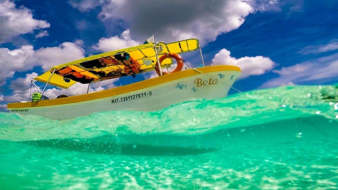 Cozumel Snorkeling Tour: Palancar, Colombia & El Cielo Reefs Tour Image 2