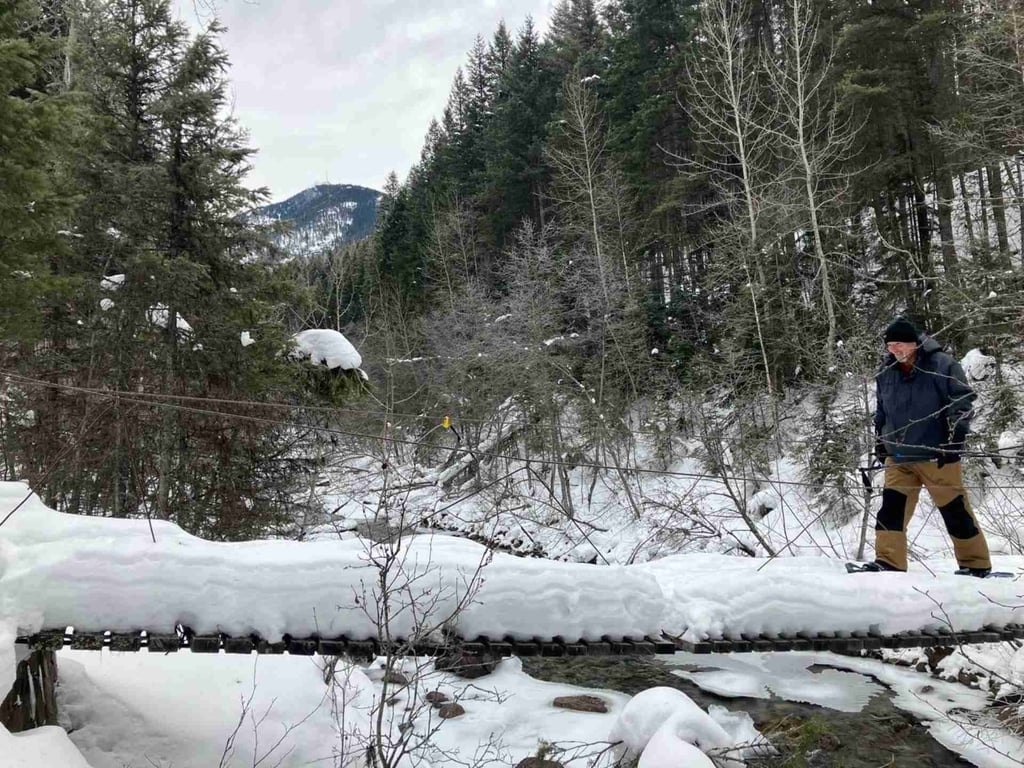 Glacier Park Full-Day Private Snowshoe Tour Tour Image 7