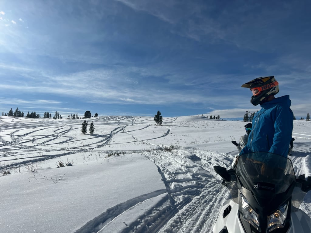 Private Powder Ride Snowmobile Experience image