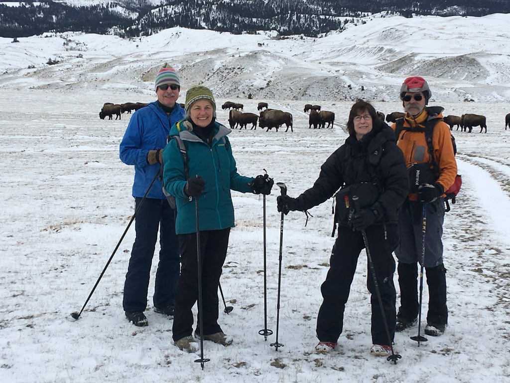 Winter Yellowstone Snowshoe Safari image