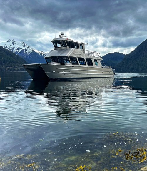 Sitka's Coastal Wildlife Cruise Tour Image 4
