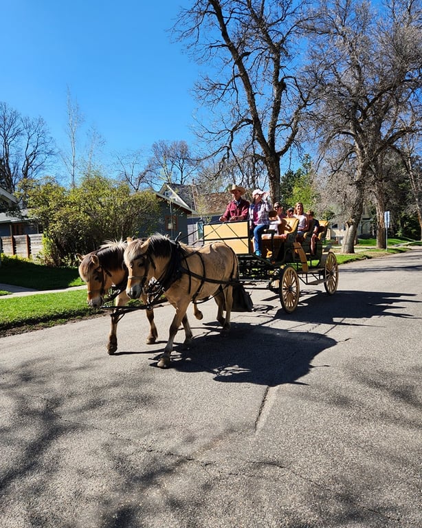 One Hour Bozeman City Carridge Tour Image 5