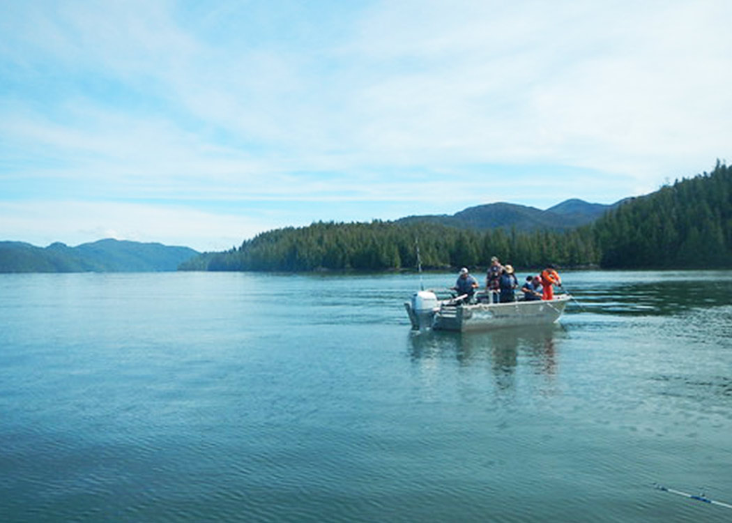 Alaska Fishing: Cook your Catch Tour Image 2