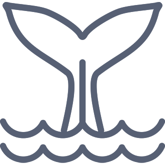 Description feature image 1