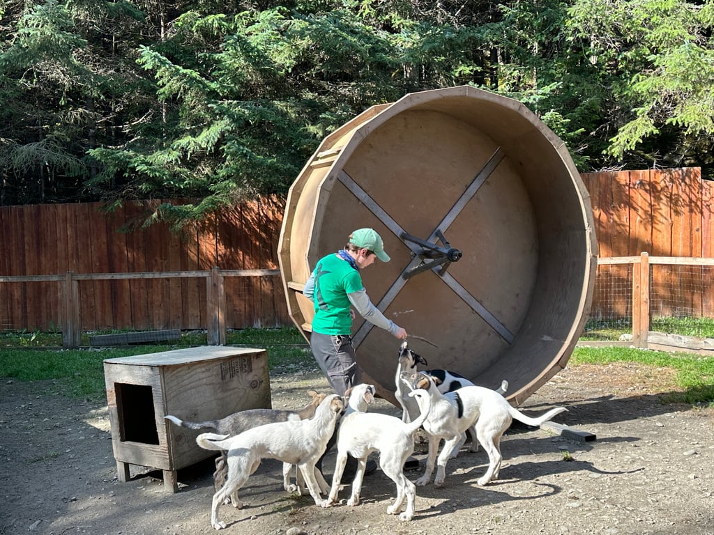 Gold Panning & Musher’s Camp Tour Image 2
