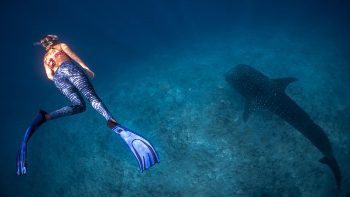 Scuba Diving in Cancun image