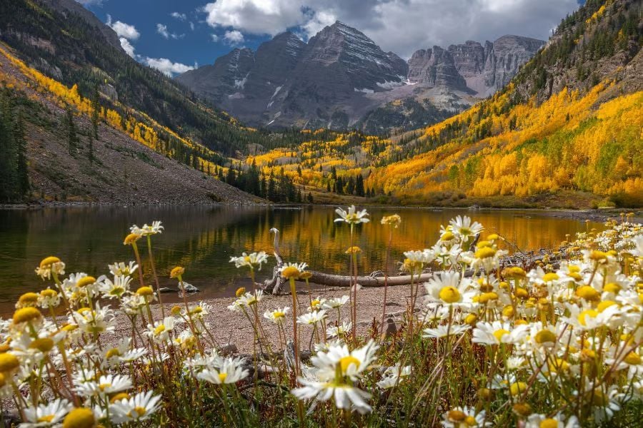 The Best Times To Visit Yellowstone National Park