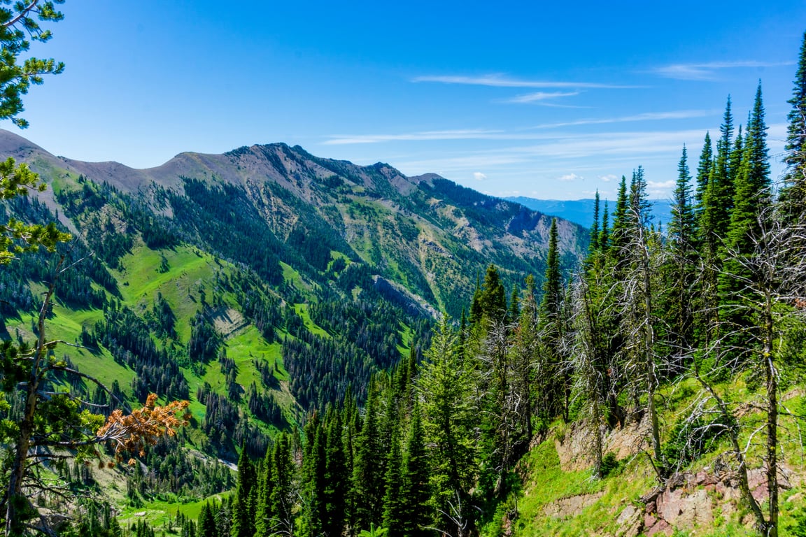 Sightseeing in Bozeman image