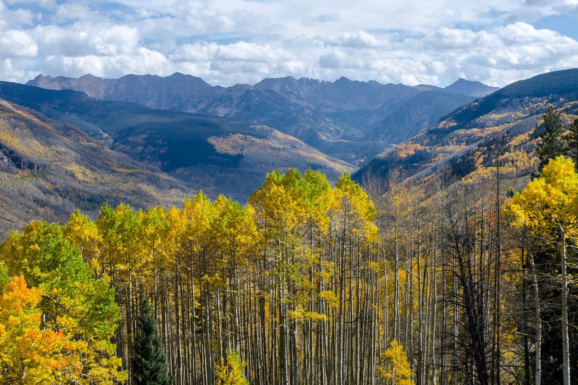 Fall in Vail: What to Do, Wear & See image