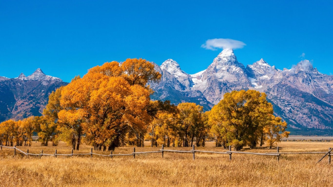 When to Visit Jackson Hole: Guide to the Seasons image