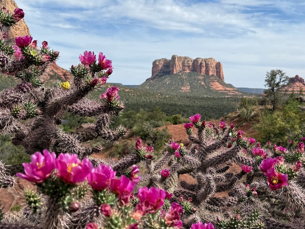 A must do experience when in Sedona review image 0