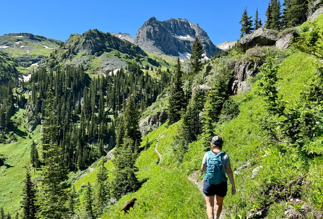 Telluride Hiking Tour - Half Day Tour Image 3