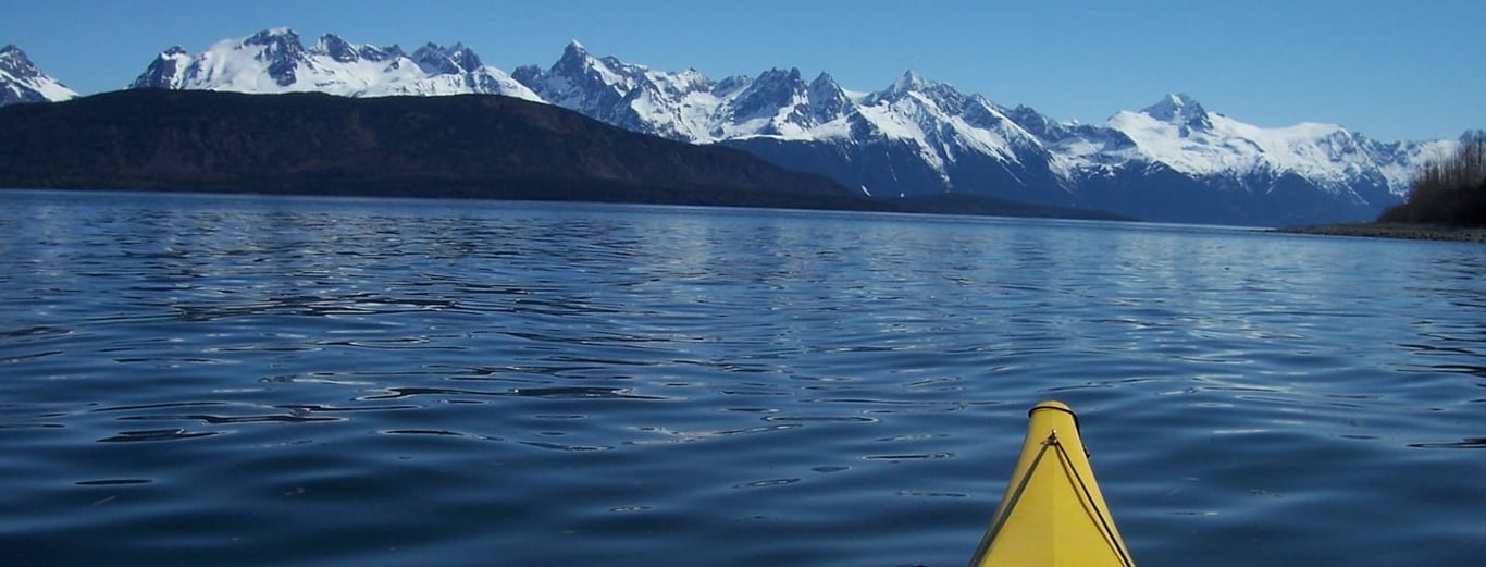 Inside Passage Kayak Tour Image 3