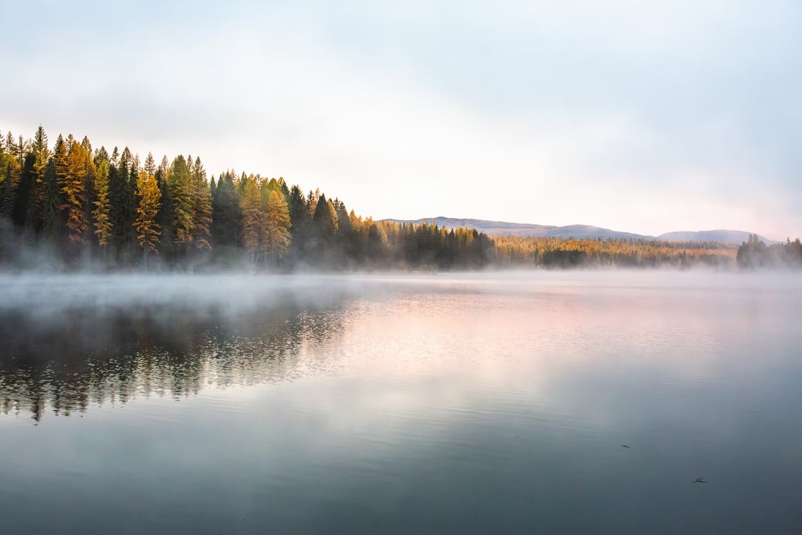 Half-Day Whitefish Lake Pontoon Boat Tour Image 6