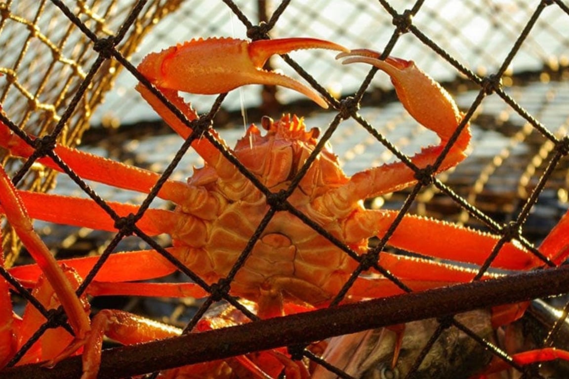 Bering Sea Crab Fishermen's Tour Tour Image 9