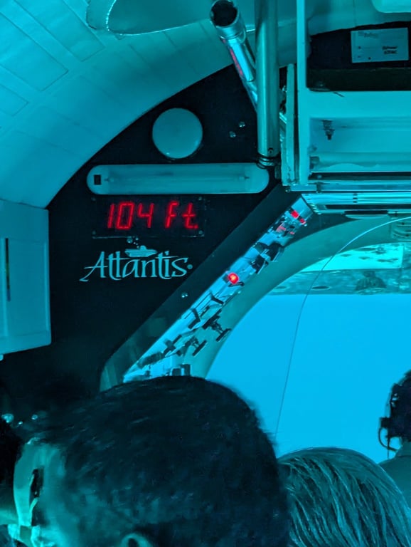 Great experience, great crew. review image 2