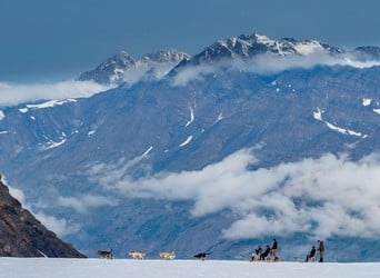 Seward Helicopter Dogsled & Bear Glacier Tour Tour Image 8
