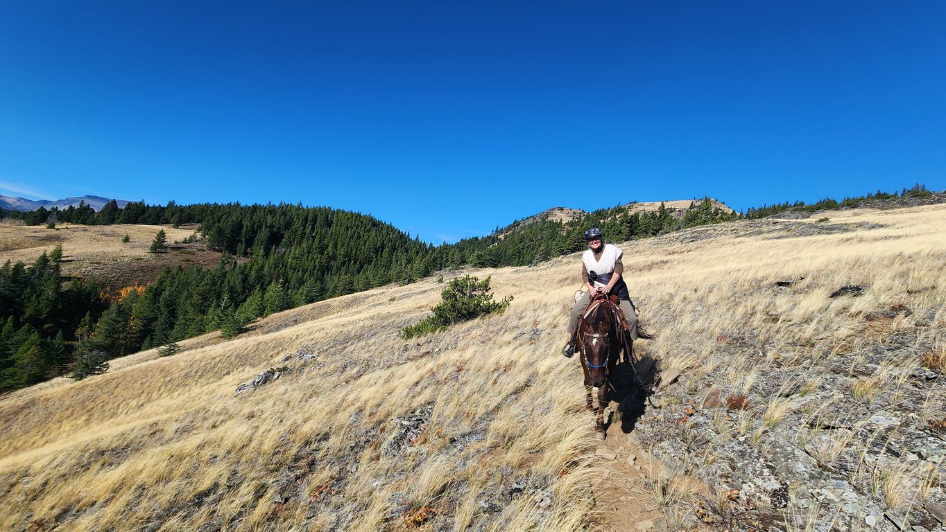 Horseback Trail Ride - Half-Day Tour Image 8