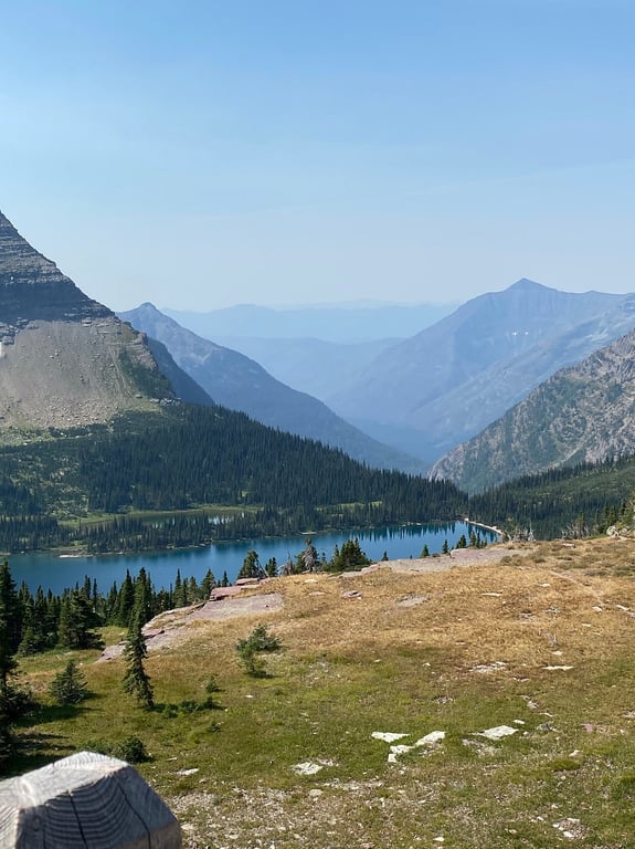 Hidden Lake Guided Day Hike In Glacier National Park Tour Image 1