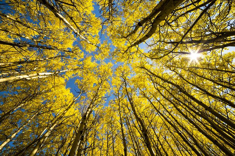 Hiking in Kalispell image