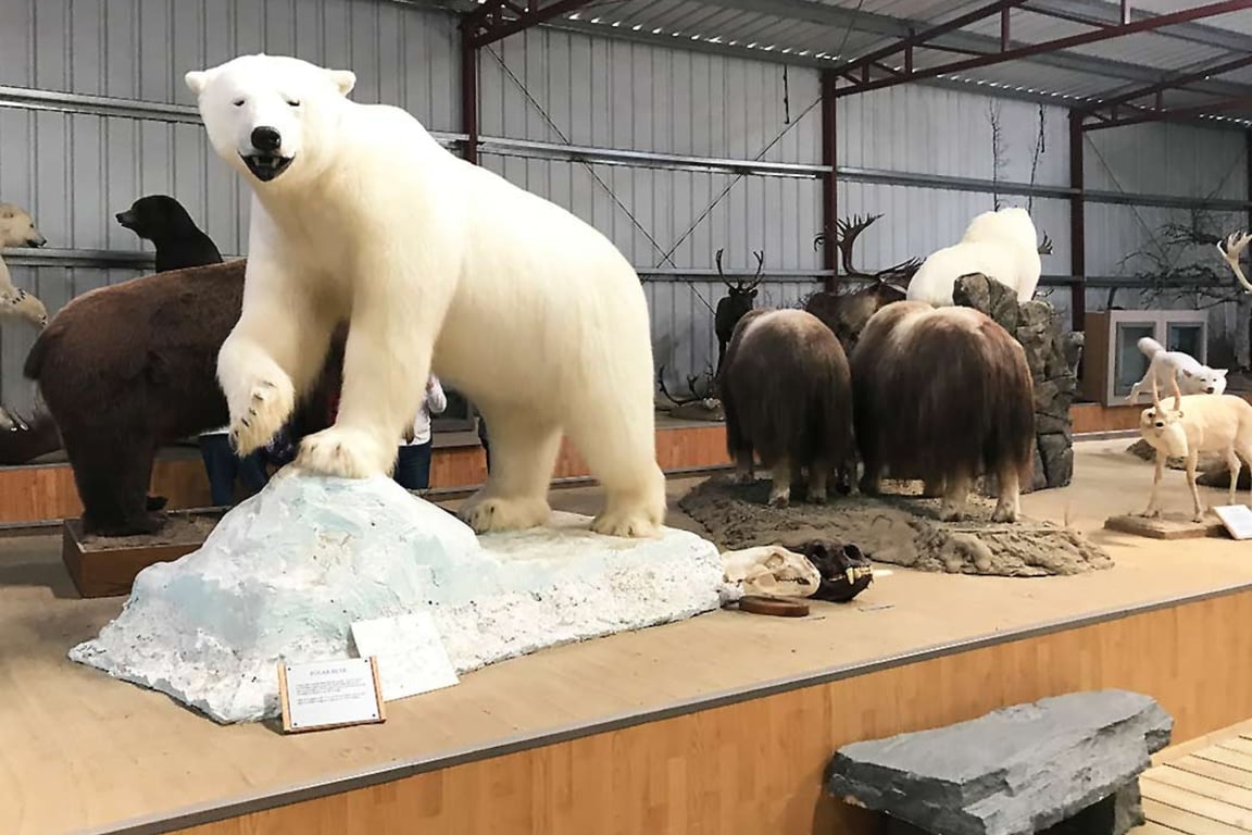 Yukon Discovery image