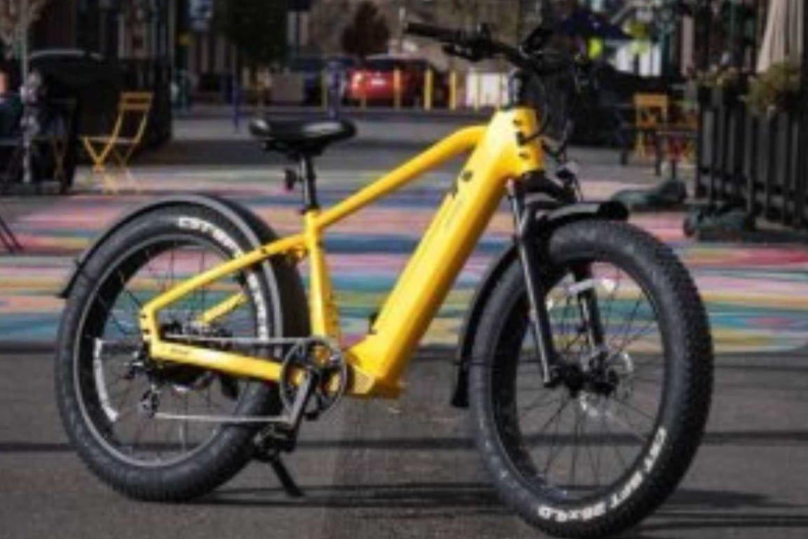 Nashville Guided e-Bike Tour Tour Image 6