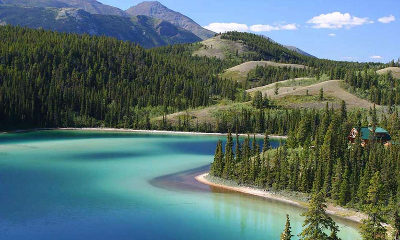 Best Alaska Shore Excursions of 2025