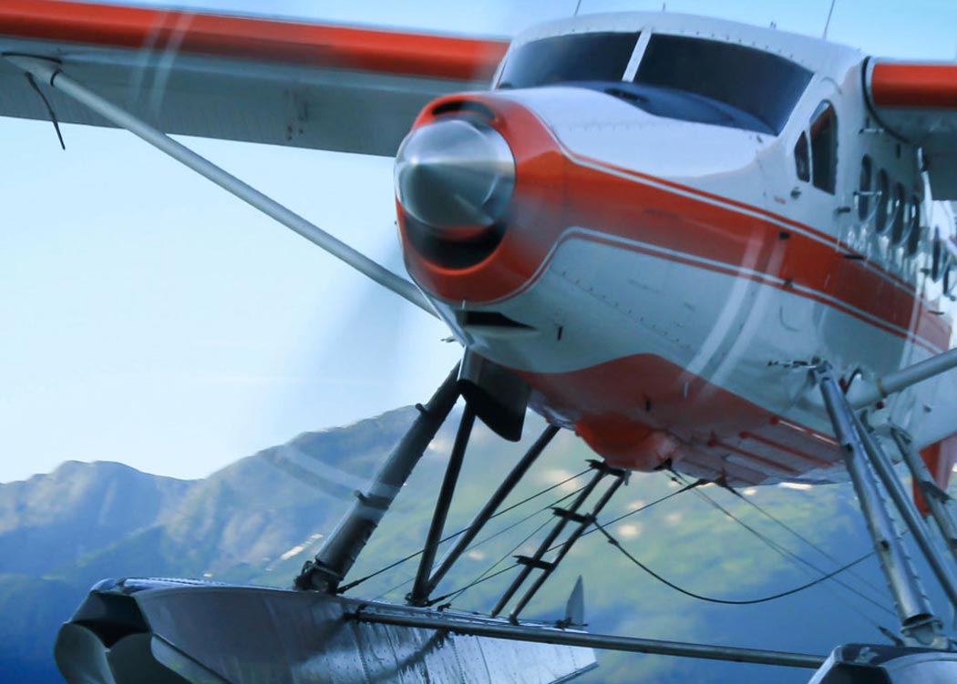 5 Glacier Seaplane Exploration Tour Image 23
