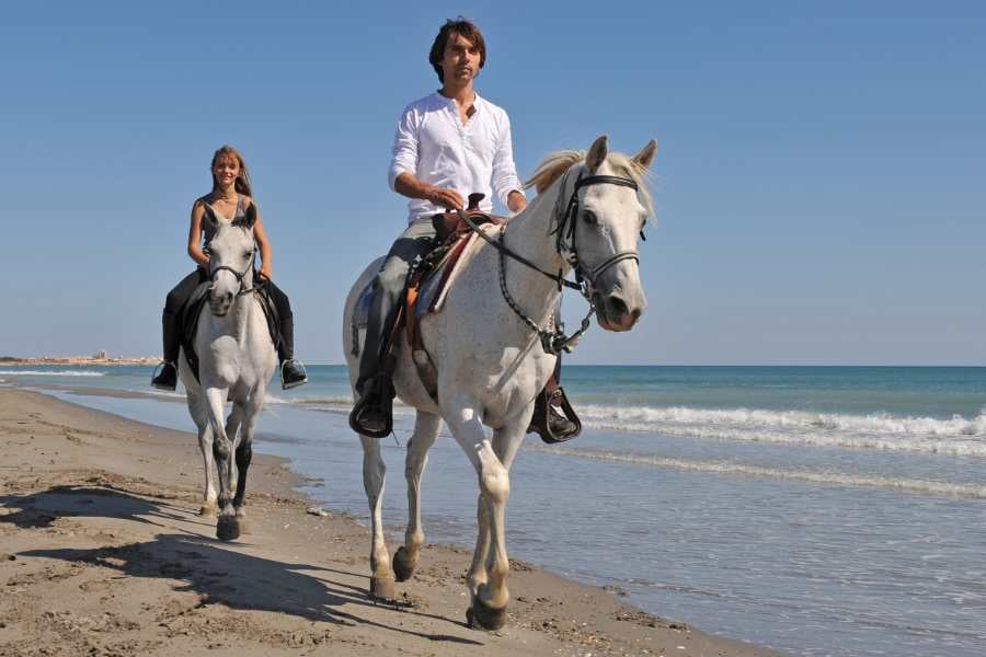  A couple riding horses along a scenic beach, enjoying the ocean breeze and peaceful views.